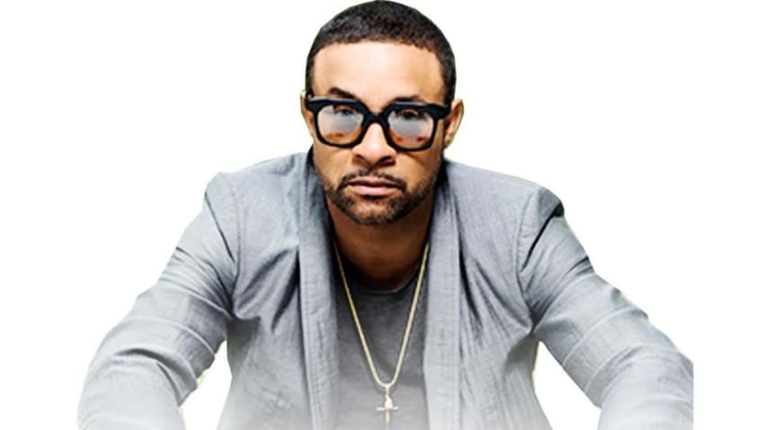 Shaggy 1